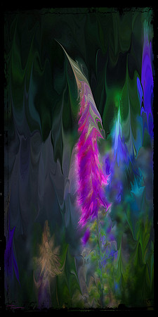 Foxglove