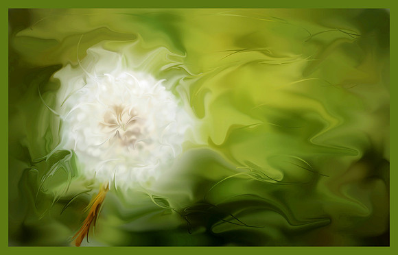 White Dandelion Lg File-2