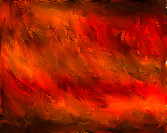 Red Feather Background