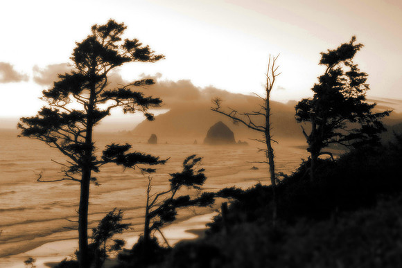 Cannon Beach 7-05 Sepia copy 2